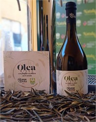 In Italy, a New Beer Made from Olive Leaves